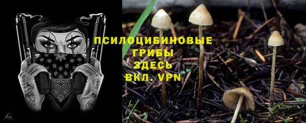 не бодяженный Алексин