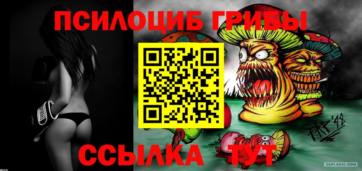 Новозыбков  Псилоцибиновые грибы Psilocybe  Вход с VPN 